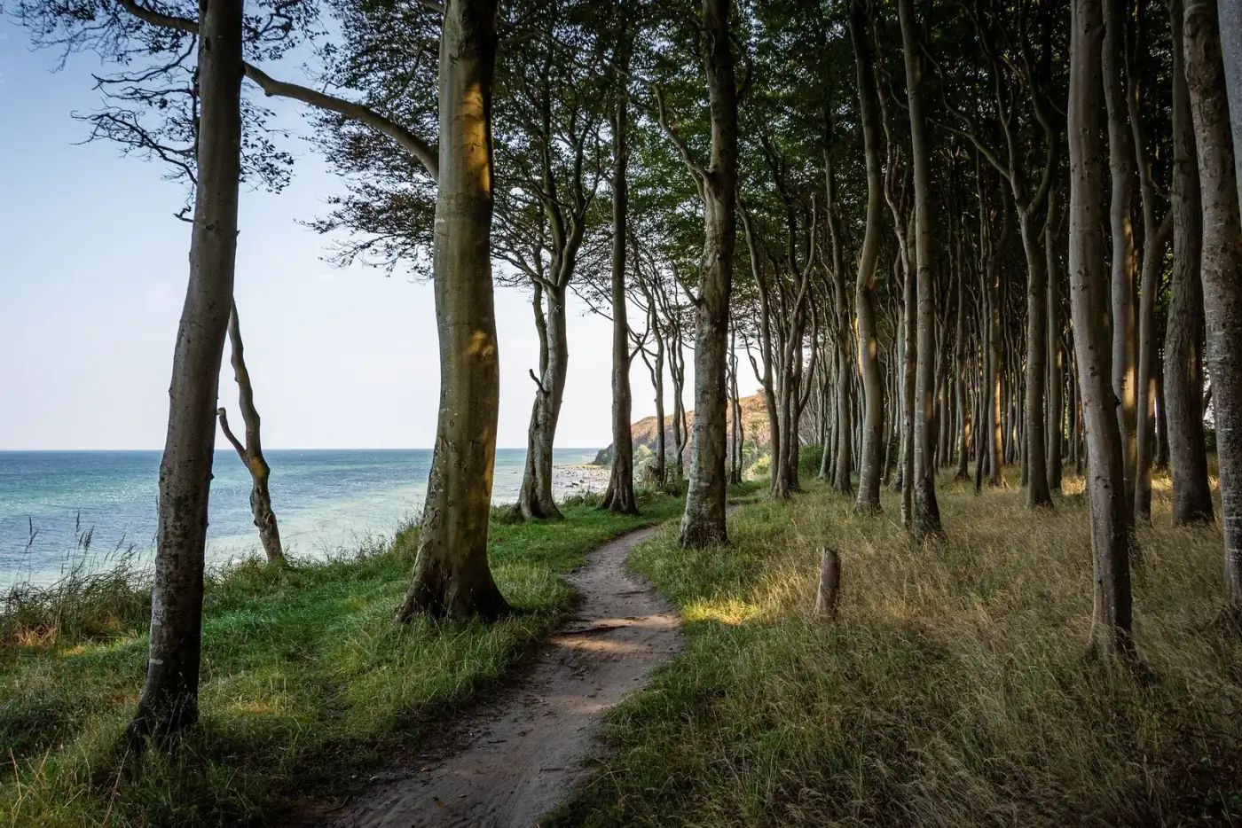 Wandern