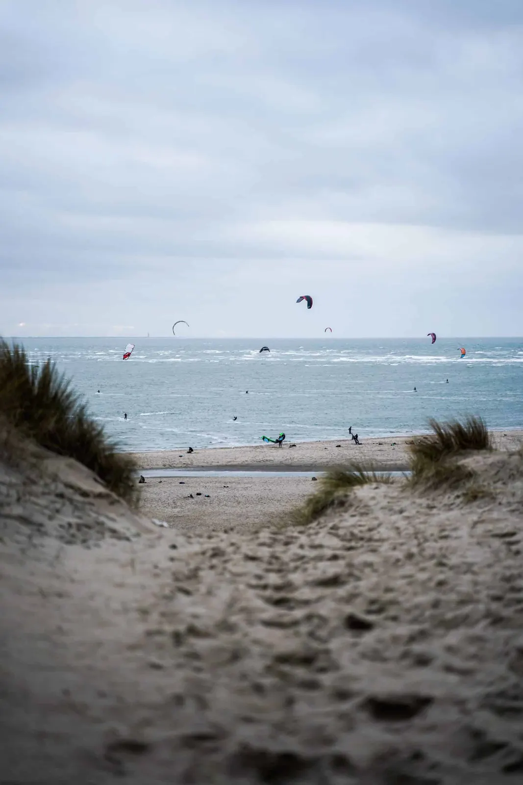 Kite- und Windsurfen